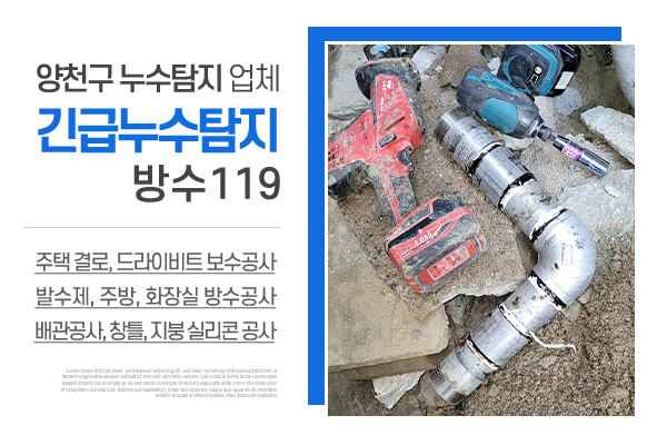 긴급누수탐지방수119_메인상단_소개